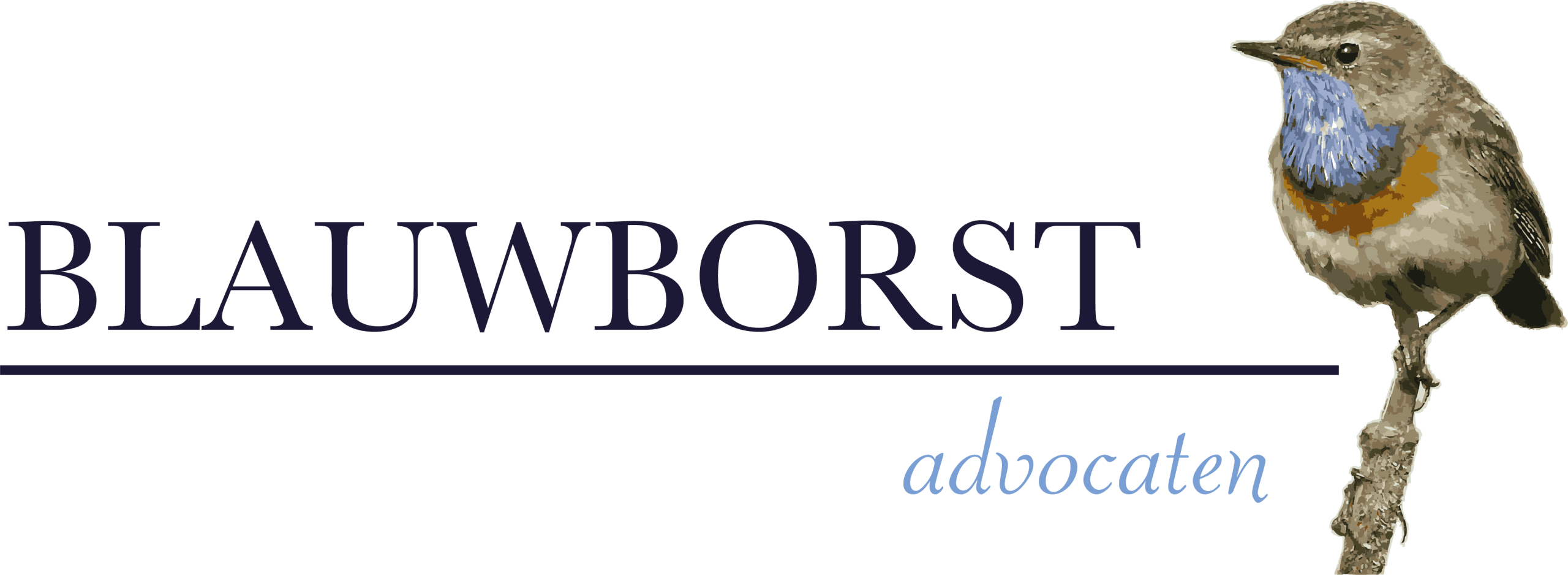 Blauwborst Advocaten